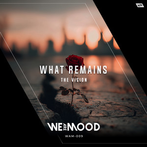 What Remains - Radio Edit by The Vision