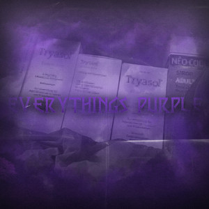 EVERYTHINGS PURPLE cover