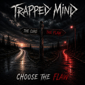 Choose the Flaw by Trapped Mind