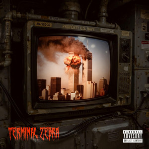 ∅911∅1 by TERMINAL ZEBRA