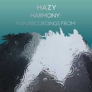 zZz Hazy Harmony: Rain Recordings from the Marsh zZz album