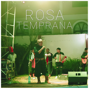 Rosa Temprana