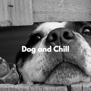Dog and Chill album