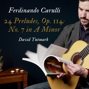 CARULLI カルッリ:ギターとピアノフォルテの為の作品集(8枚組) Carulli, F.: Guitar and Piano Music, Vol. 1 ‑「アルバム」by