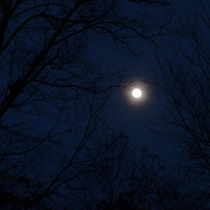 i miss the moon by Aaron Alvira