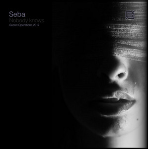Nobody Knows by Seba