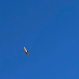 Хорошие новости