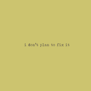 i don’t plan to fix it by Starry Cat