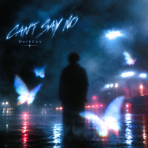 CAN'T SAY NO by DarkLux