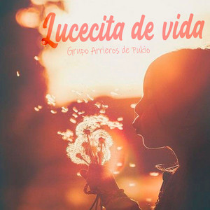 Lucecitas de Vida by Grupo Arrieros de Pukio