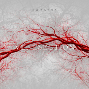 Venesection by Sumatra