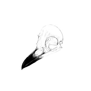 Sightless by Mutes