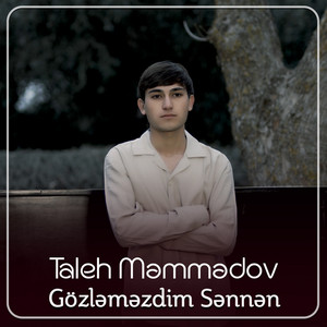 Taleh Memmedov - Gözləməzdim Sənnən
