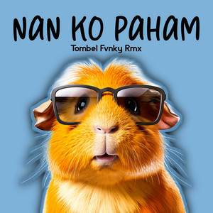Tombel Fvnky Rmx - nan ko paham style candu