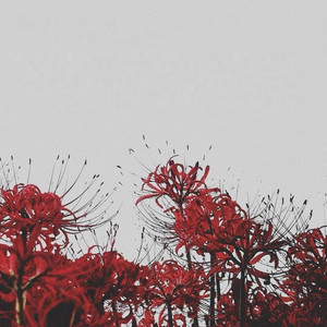 JAPAN by JXV