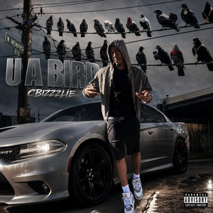 U A Bird by CBizzlle