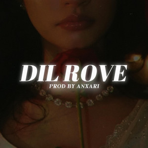 Dil Rove - Instrumental by AnXari