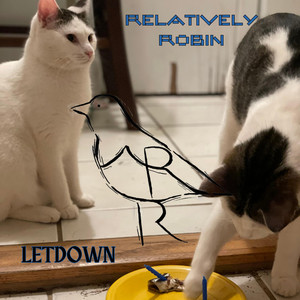 The Actual Audio from When I Shot The Video Mixed But Unedited From Hot Mics In the Room And The Difference Between The Single And Video Mix - Letdown by Relatively Robin