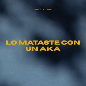 Lo mataste con un aka by Big x sound