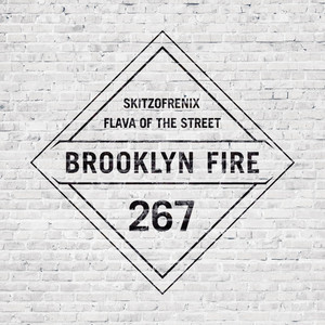 Flava of The Street