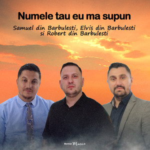 Elvis din Barbulesti - Numele tau eu ma supun (feat. Robert Din Barbulesti & Samuel din Barbulesti)