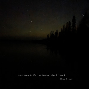 Nocturne No. 2 in E-flat Major, Op.9 (Arr. by Jesse David Brown) - felted piano version by Elias Braun