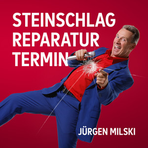 Steinschlagreparaturtermin (Partyversion)