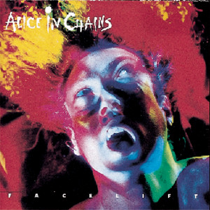 Facelift cover
