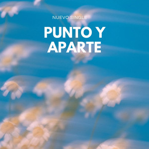 Punto y Aparte by junior mena acosta