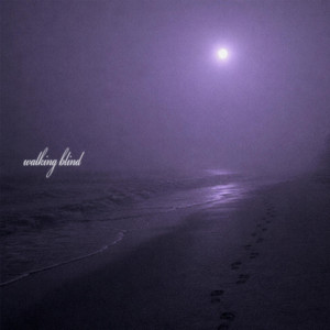 Walking Blind by Amelia Jay