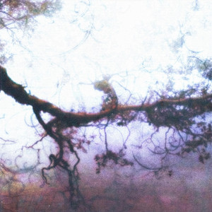 nolovesong by Eversame