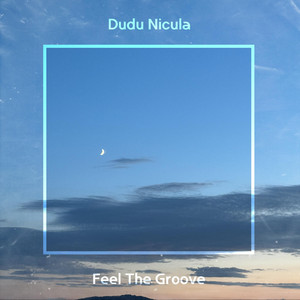 Dudu Nicula - Feel The Groove