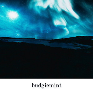 BudgieMint - Bar Fight in the Middle of Texas