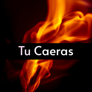Tu Caeras by CARLOS RAMON REYES MOLINUEVO