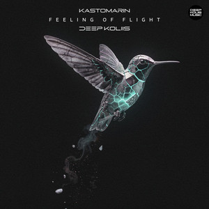 Feeling of Flight by KastomariN, Deep Koliis
