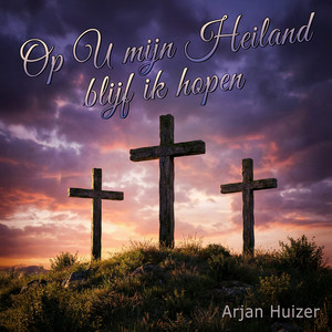 Ik Wil Mij Gaan Vertroosten by Arjan Huizer
