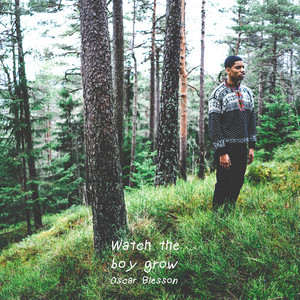 Watch the Boy Grow — cover art by Tony Shawn