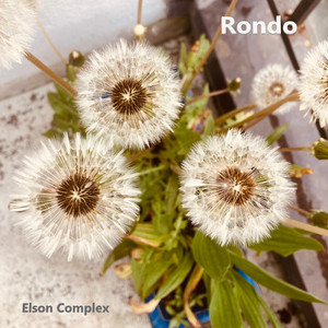 Rondo by Elson Complex