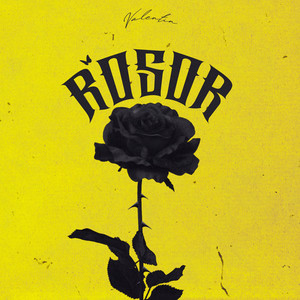 ROSOR by Valentin, SHYDE