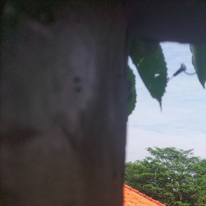 Disaat ku terjatuh semua menghilang by Tastastus, Tustaa