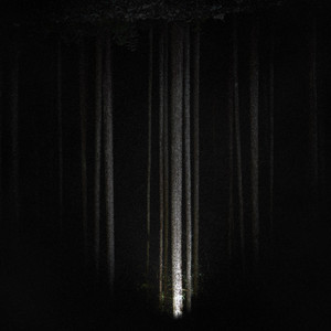 Always The Same by Cody Francis