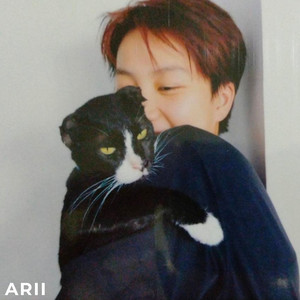 สูญหายจากนี้ไป (lose) by ARII