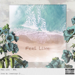 NTL - Feel Like