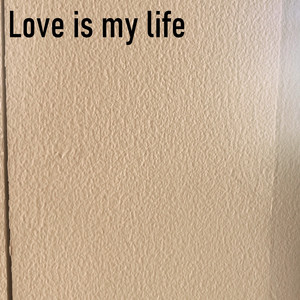 Ardapez - Love Is My Life