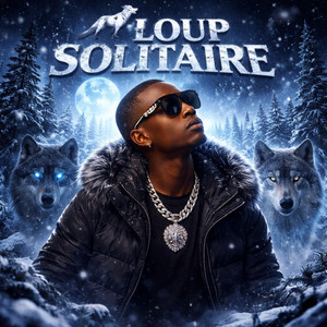 Mixblack Panther - Loup Solitaire