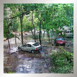 Обкладинка: Tender Rain
