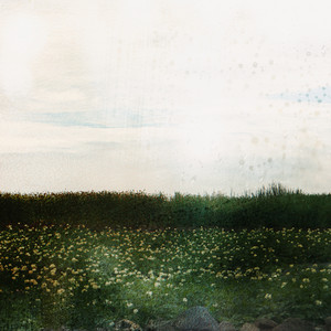Waiting Game by Hollow Young