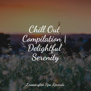 Chill Out Compilation | Delightful Serenity album