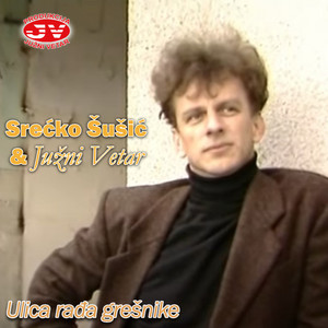 Srecko Susic - Ulica radja gresnike