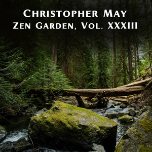 Silent Tide & Water & Birds by Christopher May